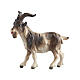Billy goat 9.5 cm Mahlknecht nativity scene in painted Val Gardena wood s1
