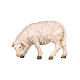 Mouton qui mange tête à gauche 12 cm pour crèche bois peint Mahlknecht Val Gardena s1