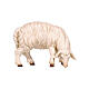 Mouton qui mange tête à droite 9,5 cm crèche Mahlknecht Val Gardena figurine bois peint s1