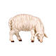 Owca jedząca, głowa skierowana w prawo, 12 cm szopka Mahlknecht, drewno malowane Val Gardena s1