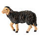 Black sheep, head up, 9.5 cm Mahlknecht Nativity Scene from Val Gardena, painted wood s1