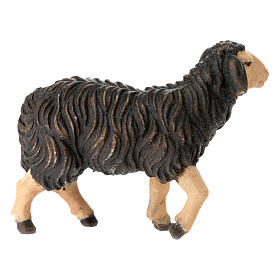 Pecora nera testa alta presepe Mahlknecht 9,5 cm legno dipinto Val Gardena