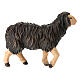 Pecora nera testa alta presepe Mahlknecht 9,5 cm legno dipinto Val Gardena s2