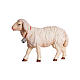 Mouton qui marche avec cloche 12 cm pour crèche bois peint Mahlknecht Val Gardena s1