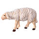 White sheep moving forward 12 cm Mahlknecht nativity painted Val Gardena wood s1