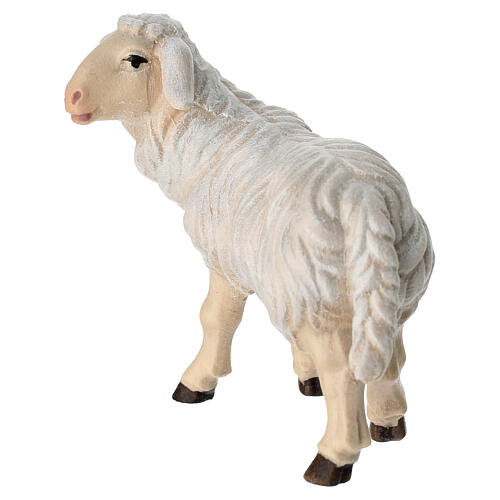 Mouton debout tête à gauche crèche bois peint Mahlknecht 12 cm Val Gardena 4