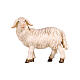 Mouton debout tête à gauche crèche bois peint Mahlknecht 12 cm Val Gardena s1
