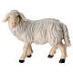 Sheep standing head to the left Mahlknecht nativity scene 12 cm painted Val Gardena wood s1