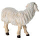Sheep standing head to the left Mahlknecht nativity scene 12 cm painted Val Gardena wood s3