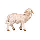 Mouton debout tête à droite 9,5 cm crèche bois peint Mahlknecht Val Gardena s1