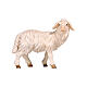 Owca stojąca, głowa skierowana w prawo, 12 cm szopka Mahlknecht, drewno malowane Val Gardena s1