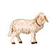 Mouton avec clochette 9,5 cm crèche bois peint Mahlknecht Val Gardena s1