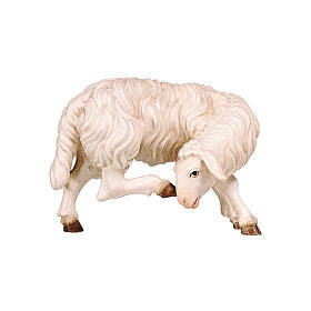 Schaf, sich kratzend, "Mahlknecht Krippe", Ahornholz, Grödnertal, für 12 cm Krippe