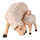 Sheep grazing with lamb, 12 cm painted wood Mahlknecht Nativity Scene, Val Gardena s3