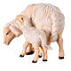 Mouton qui broute avec agneau crèche Mahlknecht Val Gardena 12 cm bois peint s2