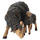 Black sheep eating with lamb, 9.5 cm Mahlknecht Nativity Scene, painted wood, Val Gardena s3