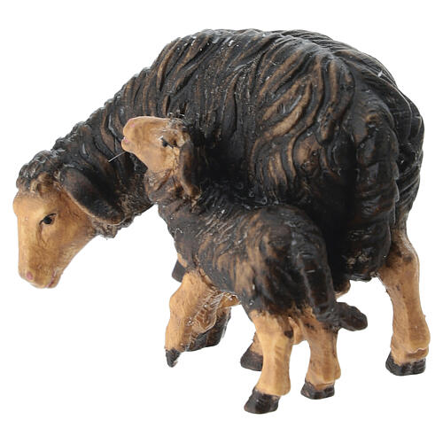 Pecora nera che mangia con agnello 9,5 cm presepe Mahlknecht legno dipinto Val Gardena 2
