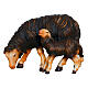 Black sheep eating with lamb, 9.5 cm Mahlknecht painted Val Gardena wood s1