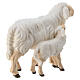 Sheep with lamb standing, 12 cm painted wood Mahlknecht Nativity Scene, Val Gardena s4