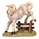 Lamb with fence 9.5 cm painted Val Gardena wood Mahlknecht nativity s1