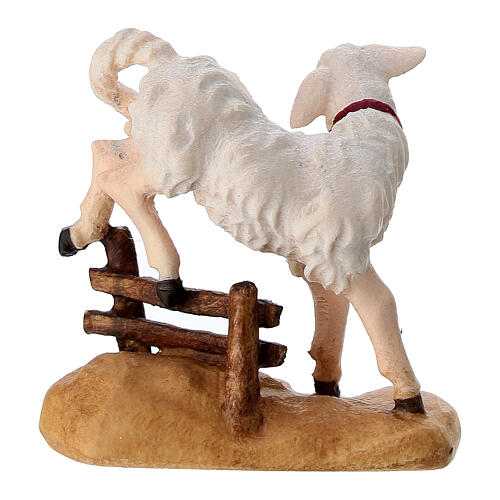 Lamb jumping a fence, painted wood statue of 12 cm Mahlknecht Nativity Scene, Val Gardena 3