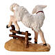 Lamb jumping a fence, painted wood statue of 12 cm Mahlknecht Nativity Scene, Val Gardena s3