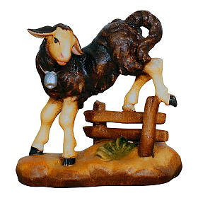 Agnello nero con siepe 9,5 cm legno dipinto presepe Mahlknecht Val Gardena