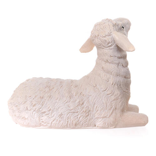 STOCK Sheep lying down for Nativity Scene of 30 cm, painted resin 2