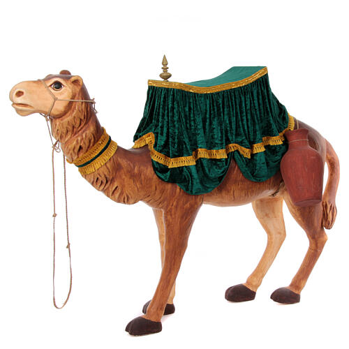 Camel with rich saddle, 120x200x40 cm 1