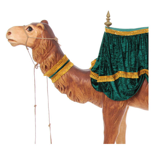 Camel with rich saddle, 120x200x40 cm 2