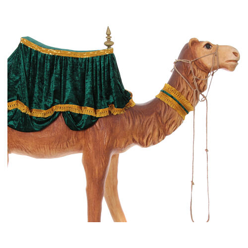 Camel with rich saddle, 120x200x40 cm 4