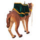 Camel with rich saddle, 120x200x40 cm s8
