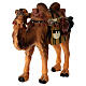 Camel with basket and vases for 9 cm resin Nativity Scene s2