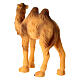 Young camel for 9 cm Nativity Scene, hand painted resin s4