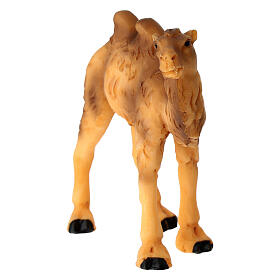 Cucciolo di cammello presepe 9 cm resina dipinta