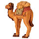 Colored wooden camel statue Leonardo line Val Gardena s5