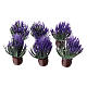 Lavanda in vaso marrone presepe da 10- 12 cm s2