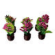 Vaso marrone con pianta con fiori magenta presepe da 10-12 cm s2