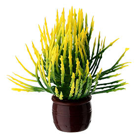 Pianta con foglie verdi e gialle presepe 10-12 cm