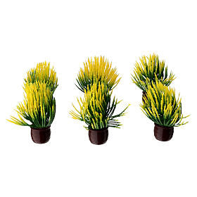 Pianta con foglie verdi e gialle presepe 10-12 cm