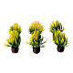 Pianta con foglie verdi e gialle presepe 10-12 cm s2