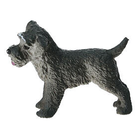 Schnauzer in plastica presepe 10-12 cm