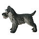 Schnauzer in plastica presepe 10-12 cm s1