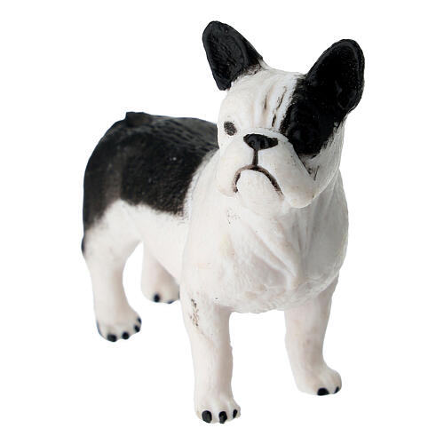 Black and white fur Bulldog for 10-12 cm Nativity Scene 3