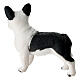 Black and white fur Bulldog for 10-12 cm Nativity Scene s4