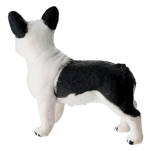 Bouledogue poil blanc et noir crèche 10-12 cm 4