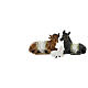 Set presepe 25 cm resina s5