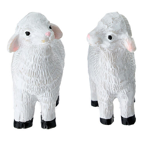 Agnellino bianco in plastica presepe 10-12 cm 3