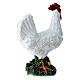 Gallo con due galline presepe 10-12 cm s8