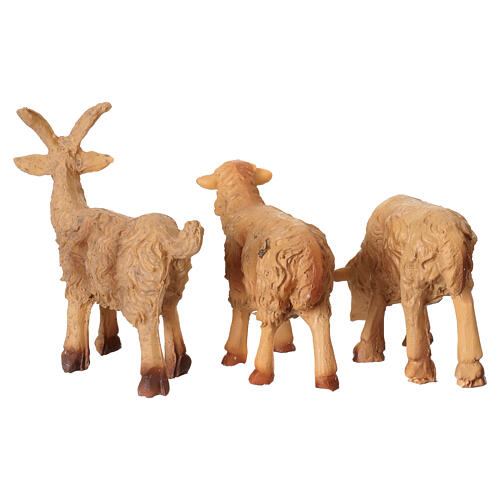 Corderos de resina belén 8 cm h real 5 cm 6